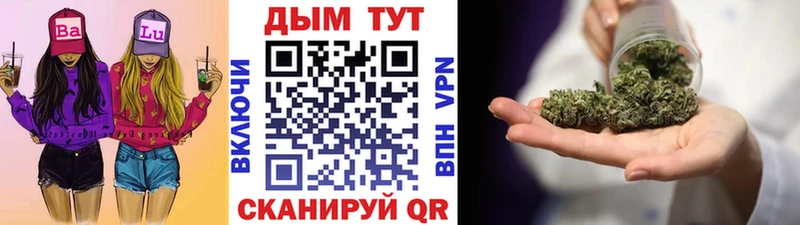 где купить наркоту  Звенигово  kraken маркетплейс  Бошки Шишки сатива 